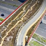Wildlife crossing in Surrey will connect two parcels of heathland divided since road was built in 1970s