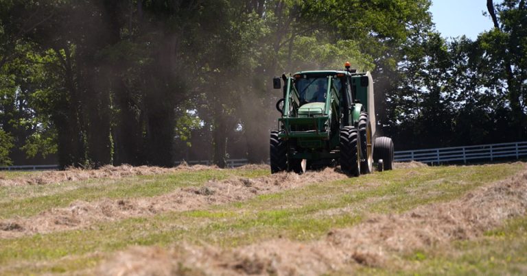 Farm Bankruptcies Surge as Kentucky