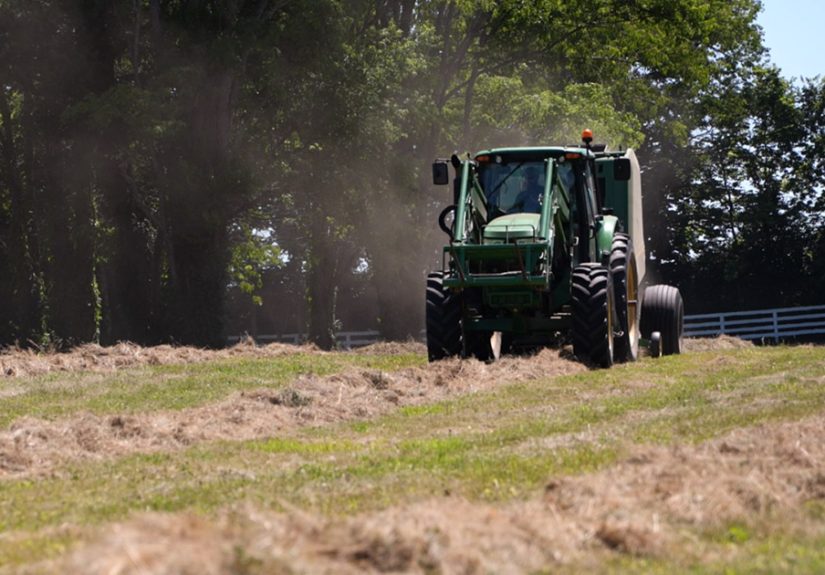 Farm Bankruptcies Surge as Kentucky